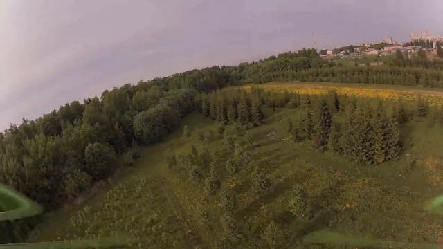 типо гонщег