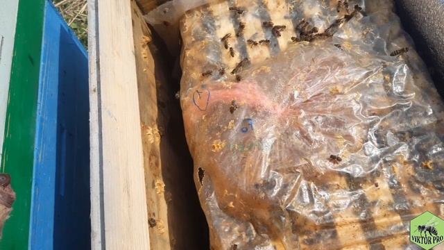 ВЕСЕННЯЯ СТИМУЛЯЦИЯ(ПОДКОРМКА) ПЧЕЛ БЕЗ ВРЕДА ДЛЯ ПЧЕЛОСЕМЬИ смотреть онлайн