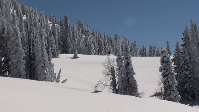 Spring 2011 Polaris Turbo Pro RMK смотреть онлайн