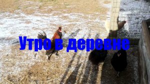 Утро в деревне