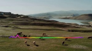 Магомед Лукманов - Даргинская 2023