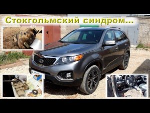 Купил СОРЕНТО 2012 года, из ТРЕЙДИНА