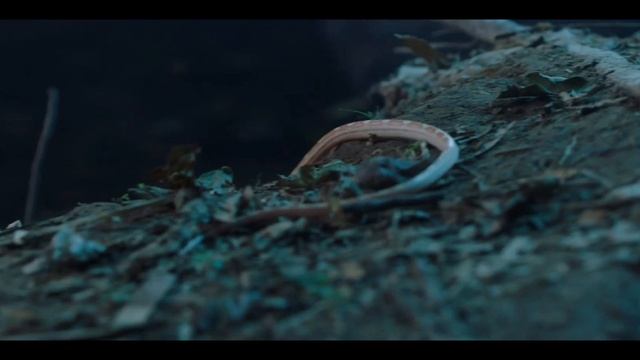 giant snake movie explained in hindi | Gaint Python (2022) Movie Explained In Hindi смотреть онлайн