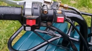 20 year old quad - still looks good! Yamaha big bear 350 4x4