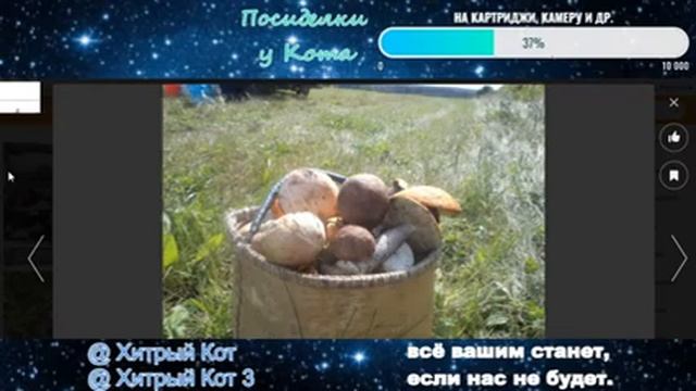 о грибах, Басе и не только (фото) смотреть онлайн