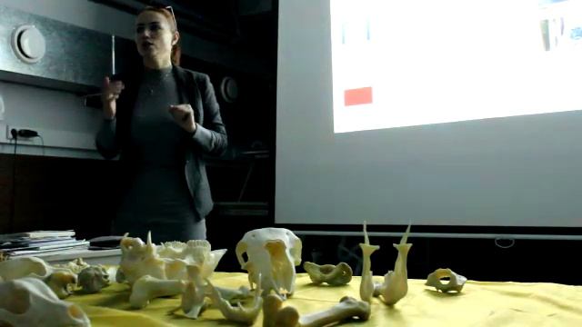 3.ЦТК. ЦПЭ. Митохондриальные болезни.(ДГТУ.Курс биохимии для ветеринарных врачей 2 курс.) смотреть онлайн