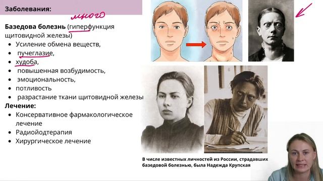 Эндокринная система | Летний курс | БиоФАК 2022 смотреть онлайн