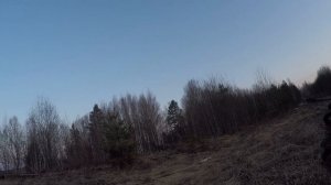 Охота на глухаря весной.