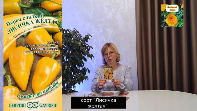 Выбираем перцы и баклажаны сезона 2022 смотреть онлайн