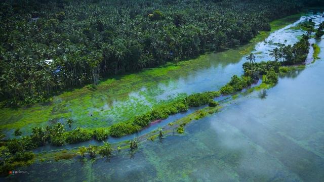 Kerala - Relaxing video 4K (Drone view) - Avalapandy - Kozhikode смотреть онлайн