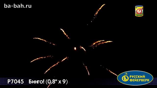 Фейерверк Р7045 Бинго 0,8 х 9 смотреть онлайн