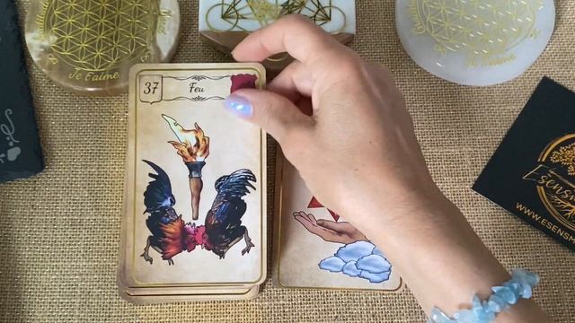 L’Oracle Belline de JohWan - review смотреть онлайн