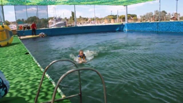 алеша и дельфин смотреть онлайн