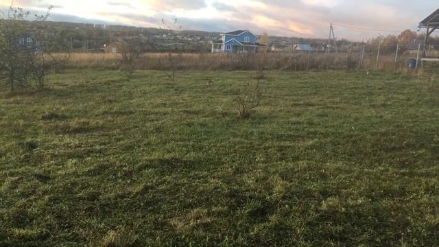 Пушистый. Особенности выгула кролика. смотреть онлайн