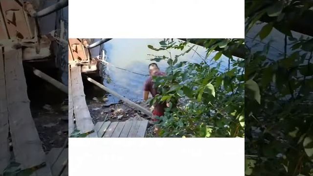 Раколовка своими руками, как поймать раков смотреть онлайн