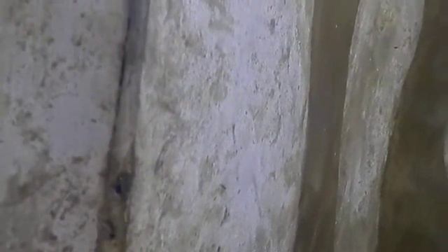 проверка стенки душевой кабины после полугода эксплуатации смотреть онлайн