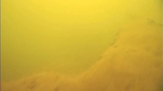 Поиск щуки с помощью камеры ЯЗЬ-52 Актив с лодки смотреть онлайн