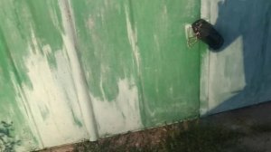 Загорелся чек, подтраивает, большой расход топлива на ланосе -  слетела вакуумная трубочка ДАД