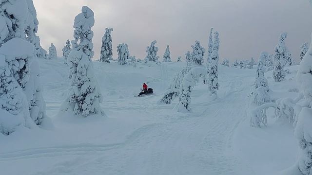сопка Волосяная, шикардосный пухляк смотреть онлайн