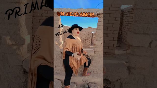 un viejo amor cover LA PRIMA ❤️ @anagabrieltv @laprimalaprima572 смотреть онлайн