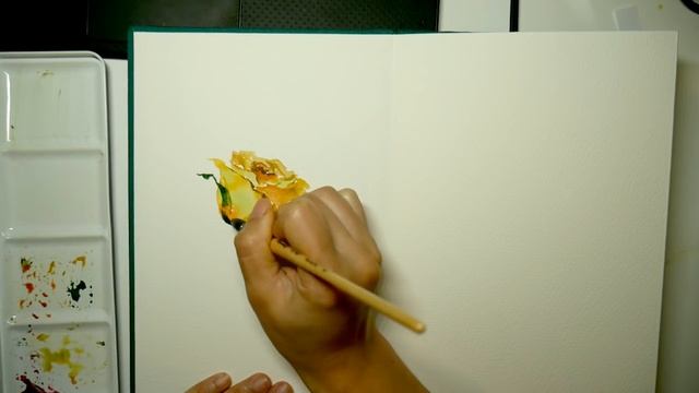 Quick sketch yellow rose смотреть онлайн