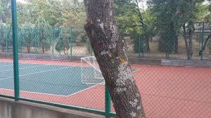 Пансионат«Лазурный«в Кабардинке.