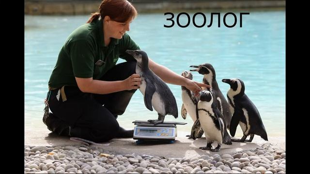 Зоолог смотреть онлайн