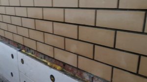 Очищаем облицовочный кирпич от высолов