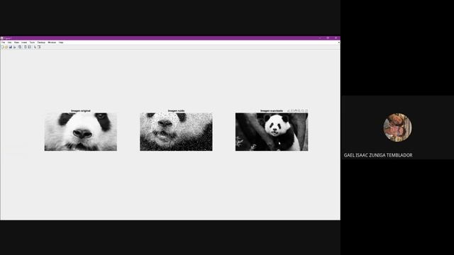 FILTRO DE LA MEDIANA-PROCESAMIENTO DIGITAL DE IMÁGENES смотреть онлайн