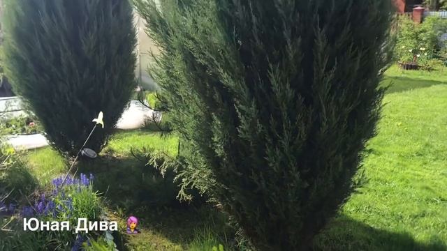 702:Женский клуб. Дача. Обзор участка. Первый урожай! 18 мая 2021 смотреть онлайн