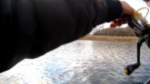 Трофейная щука на спиннинг | Ловля трофейной щуки на блесну