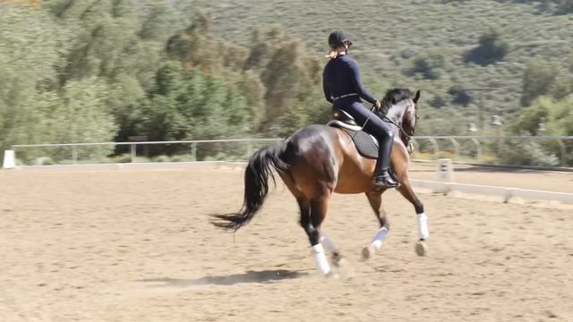 How to Sit in the Saddle and Move with your Horse смотреть онлайн