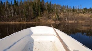 Стеклопластиковая лодка Тримаран Пингвин, мотор Тоха 18! Замер скорости!