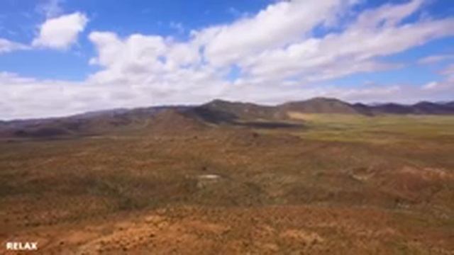 ? Музыка На Саксофоне ? Приятная Музыка Саксофона для Романтического Вечера ✔ смотреть онлайн