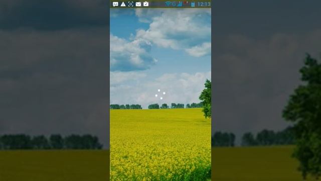 Ремонтный Шик