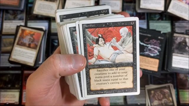 Random eBay Purchase | MTG Collection смотреть онлайн