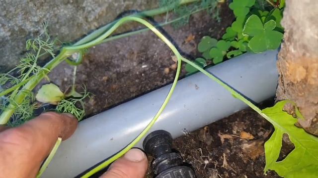 Капельный полив своими руками / DIY self watering смотреть онлайн