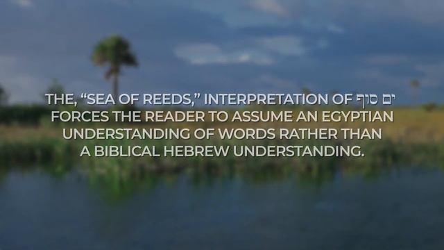 Did the Israelites Cross the RED SEA or the SEA OF REEDS? смотреть онлайн