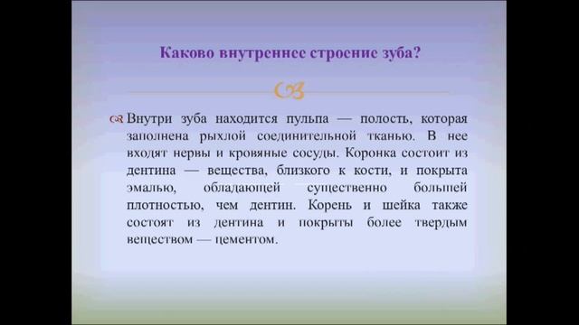 Пищеварение в ротовой полости. Урок биологии. смотреть онлайн