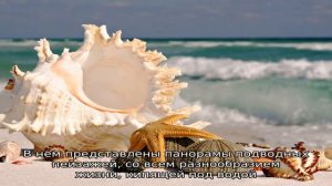 Обои на рабочий стол океан