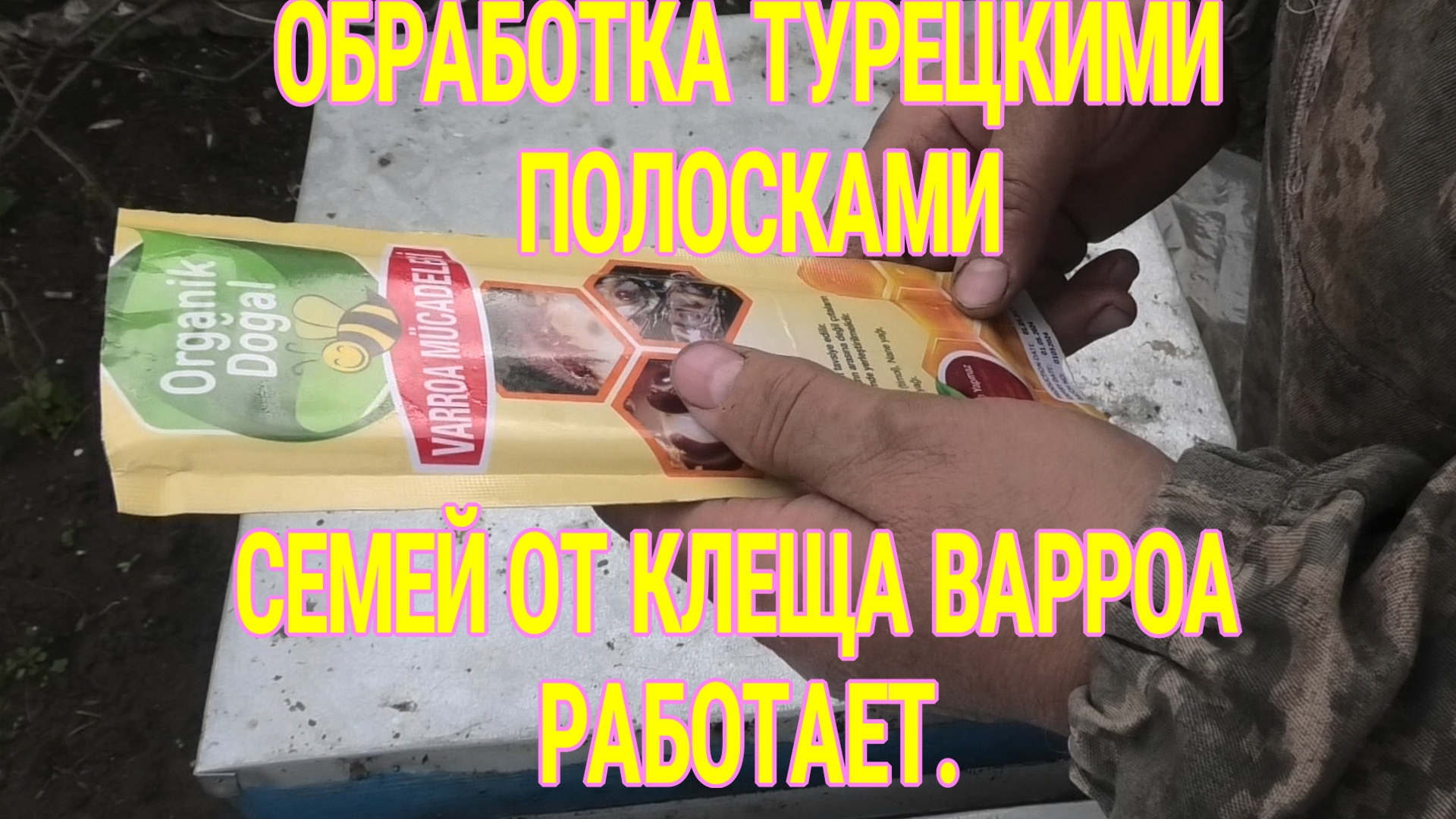 ВЕСЕННЯЯ ОБРАБОТКА ОТ КЛЕЩА ВАРРОА,КОНТРОЛЬ РАЗВИТИЯ СЕМЕЙ..mp4 смотреть онлайн