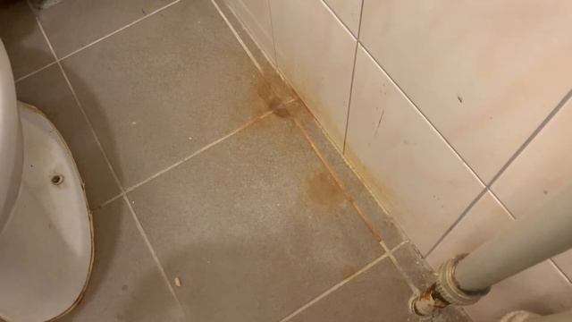 Домоводство