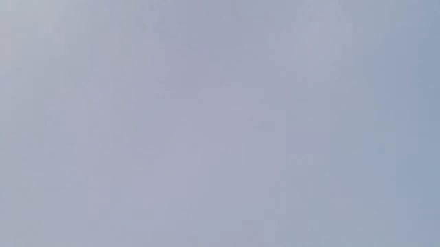 Голуби синельниково смотреть онлайн