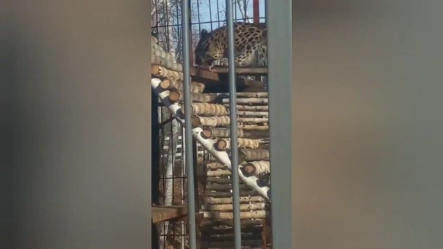 29 января 2024 г. смотреть онлайн