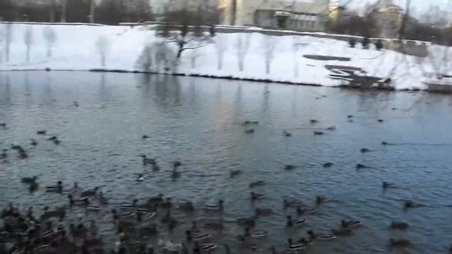 толкучка на пруду смотреть онлайн