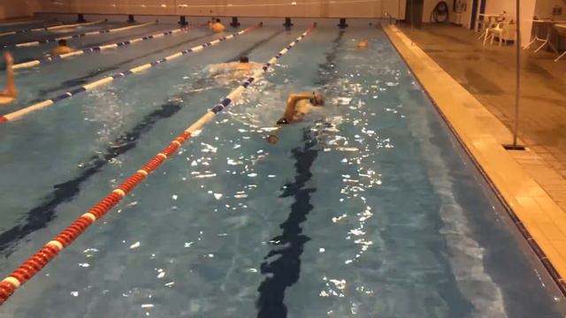 Тренировки в бассейне Дельфин Кременчуг смотреть онлайн