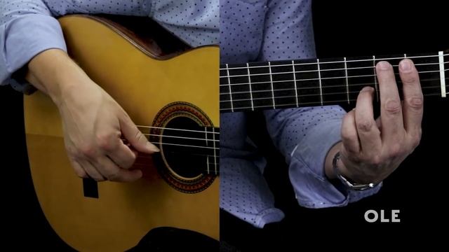 Bulerias Arpeggio Falseta Workouts - Flamenco Guitar Tutorial by Kai Narezo. смотреть онлайн