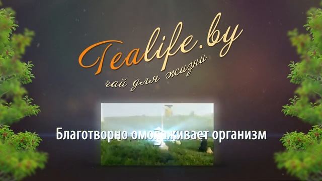 Чайный магазин tealife смотреть онлайн