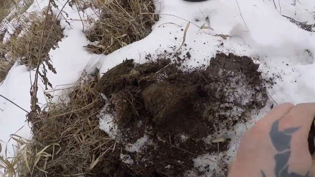 ПОИСК С МЕТАЛЛОДЕТЕКТОРОМ ВДОЛЬ РЕКИ SEARCH WITH A METAL DETECTOR ALONG THE RIVER смотреть онлайн