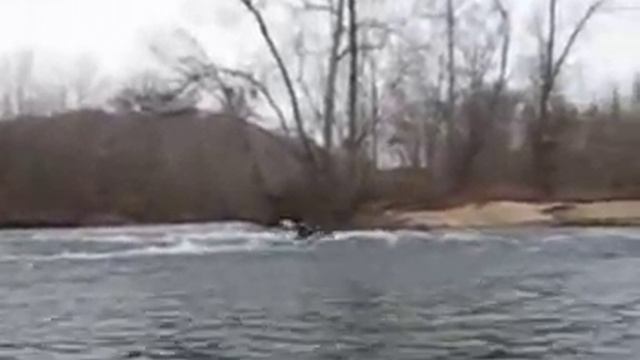 Eleven Point River Canoe and Kayak Trip смотреть онлайн